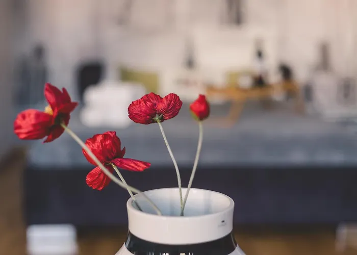 2homerent Dream Dworcowa 13 Apartment *